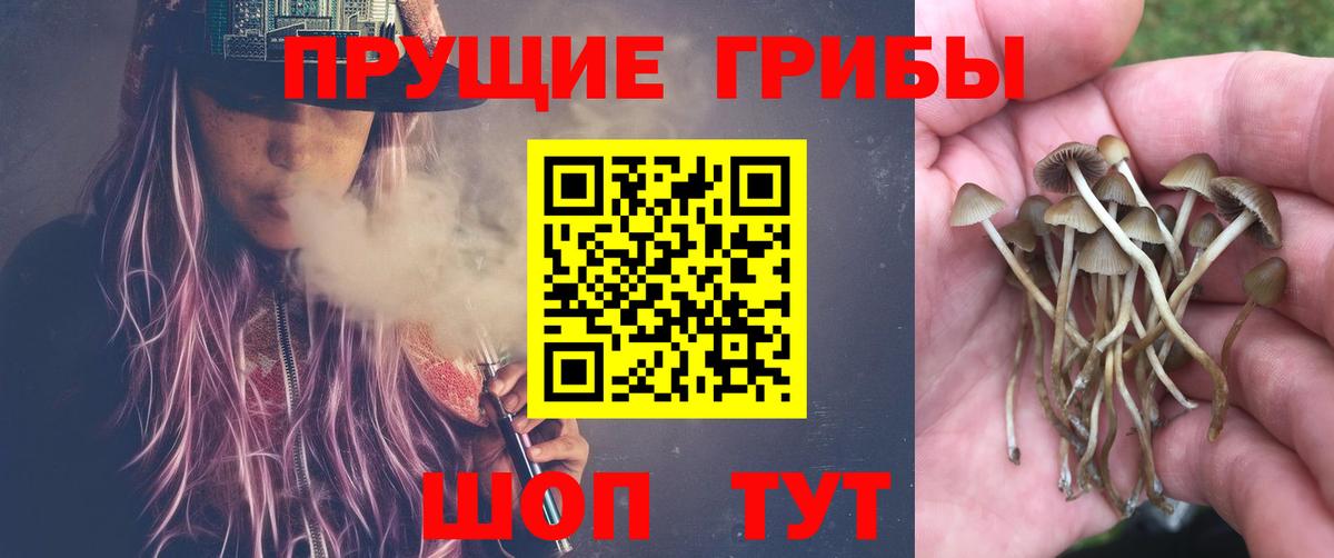 Галлюциногенные грибы мухоморы Среднеуральск