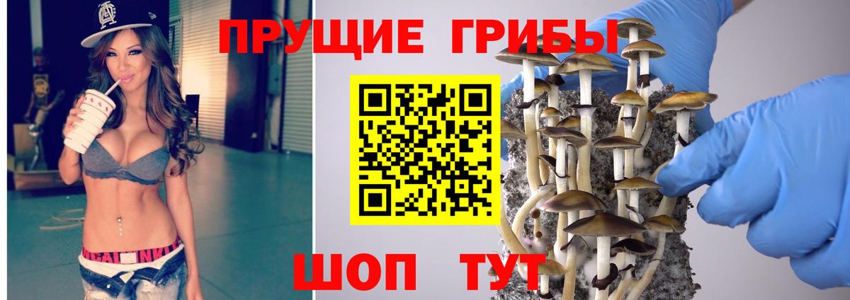 Среднеуральск  Галлюциногенные грибы Magic Shrooms  Вход с VPN 